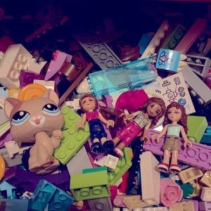 A BIG HANDFUL of LEGOS - comes with one littlest pet shop-cat